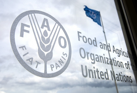FAO (유엔식량농업기구) 농식품시스템 전환