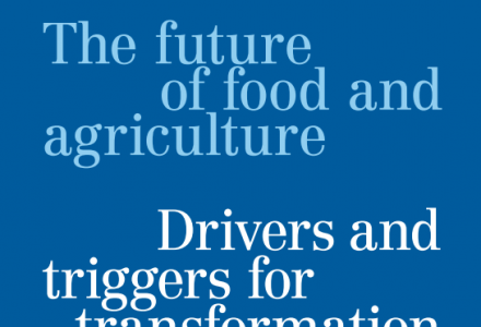 2022 FAO 식량·농업 미래 보고서